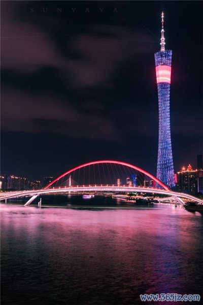 深圳洋马小姐 —— 努力拼搏的新一代女性